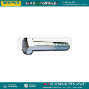 ŚRUBA 20X80 8.8 DIN931 ZN